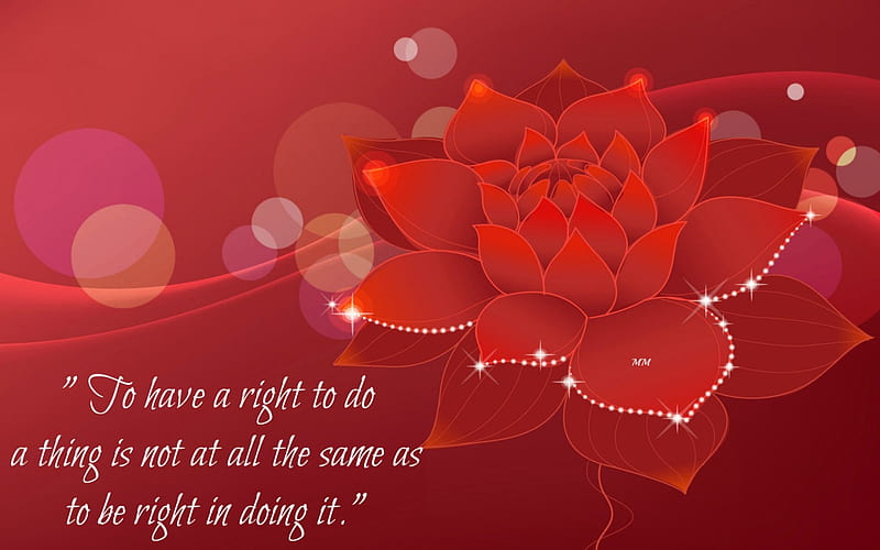 Right, Words, Red, Wisdom, Thoughts, Flowers, Nature, Quotes, HD wallpaper