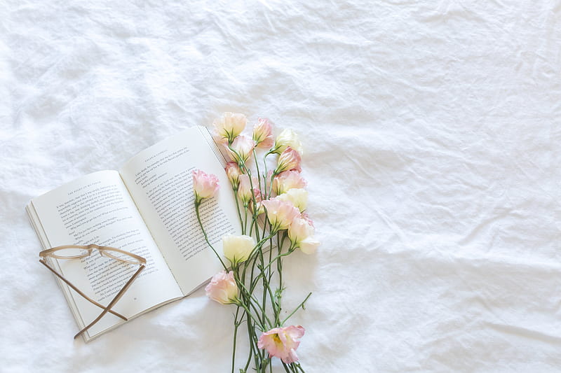 Cornflowers, quality, book, glasses, flowers, pastel, white, HD wallpaper