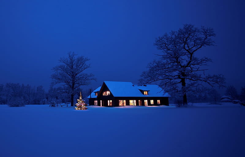 Christmas night, Christmas, tree, snow, New Year, home, lights, night,  winter, HD wallpaper | Peakpx