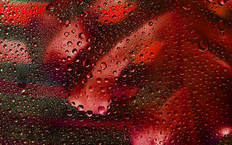 rainy, bubble, red, dark, window, pattern, background, HD wallpaper