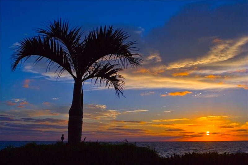 Miami-Beach-Sunrise, beach, miami, bonito, sunrise, HD wallpaper