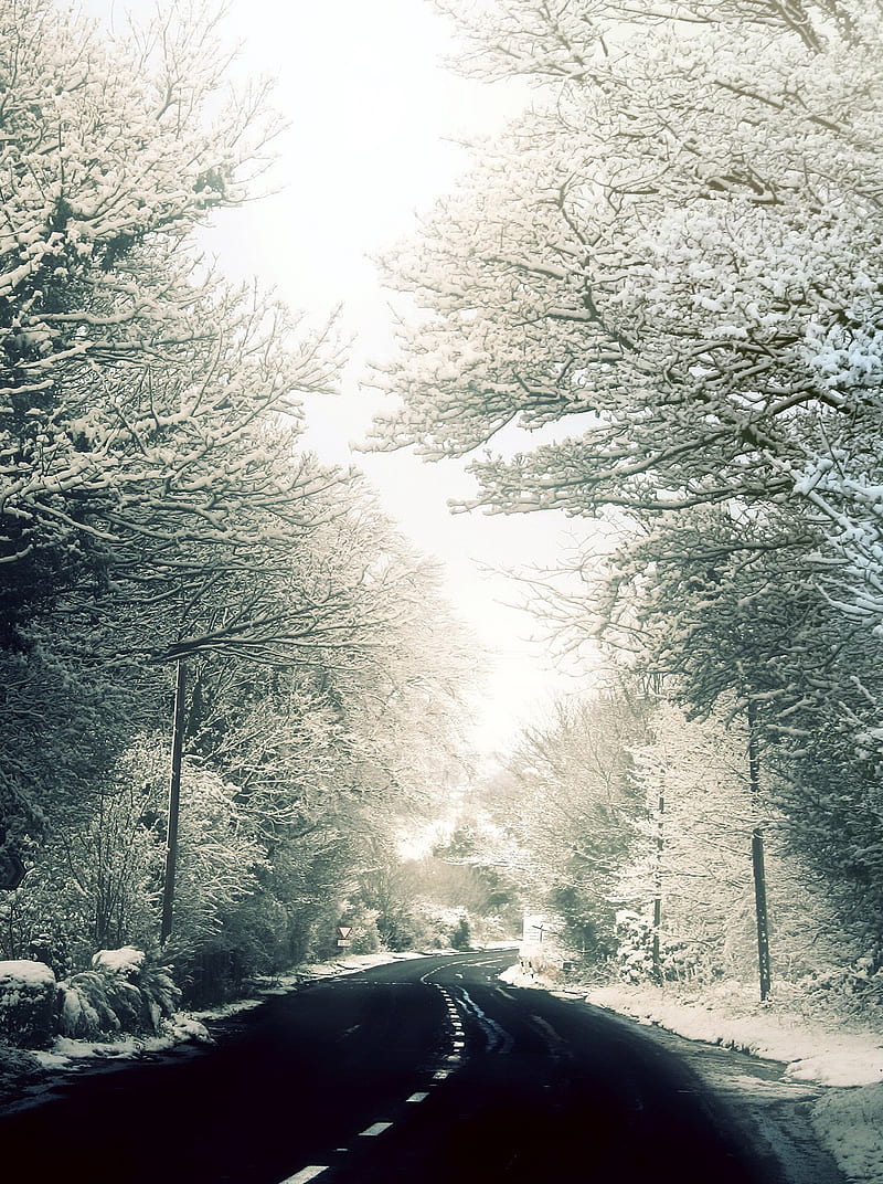 Winter Road, black, christmas, frost, snow, trees, white, HD phone ...