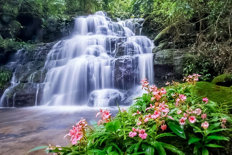 1920x1080px 1080p Free Download Under The Waterfall Flowers Nature