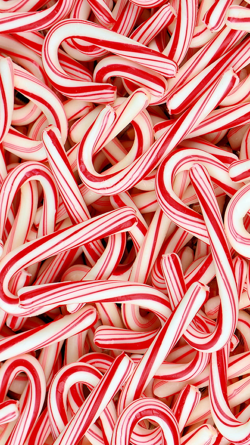 Candy Canes, candy, cane, canes, christmas, HD phone wallpaper | Peakpx