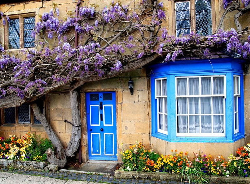 old home, blue window, flowers, house, roofs, HD wallpaper