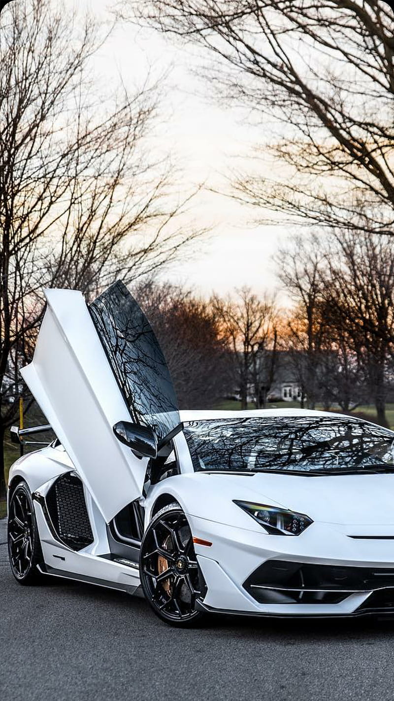 1080p Free Download Aventador Svj Lamborghini Aventador White Car