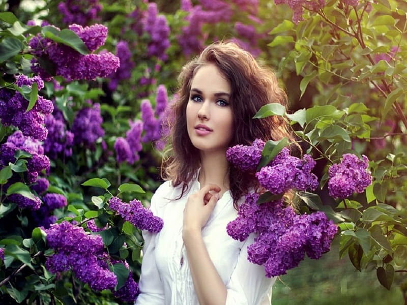 Beauty Blooms From Within, sunlight, flowers, beauty, lilacs, women, HD wallpaper