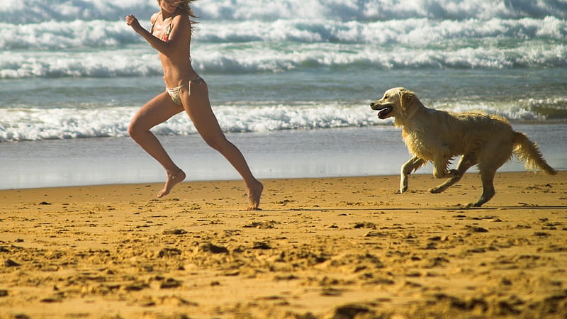 A Jerry Trained Dog, beach, sand, girl, dog, HD wallpaper