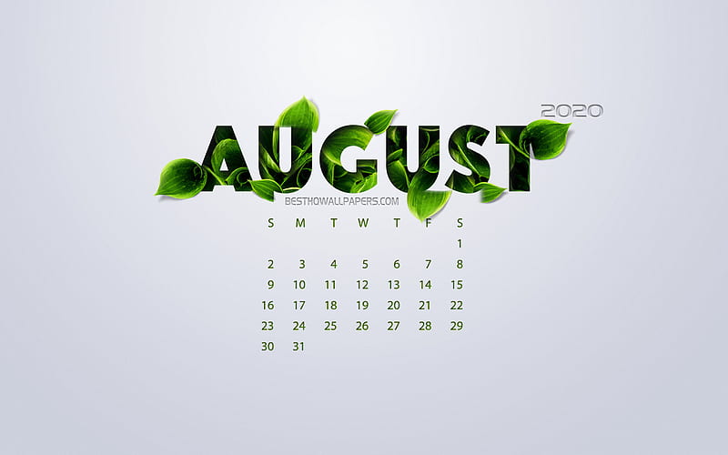 August 2020 Calendar, eco concept, green leaves, August, white background, 2020 spring calendar, 2020 concepts, 2020 August Calendar, HD wallpaper