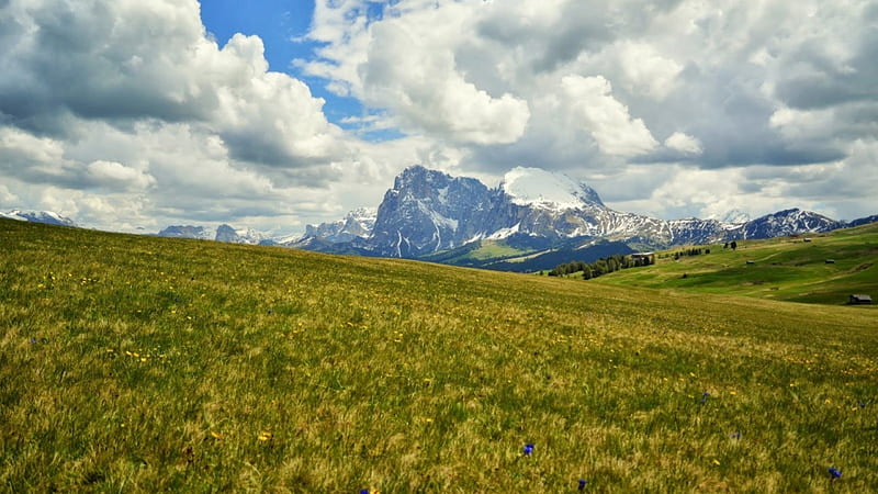 green meadow at sassolungo mountain in italy, mountain, clouds, grass, meadow, HD wallpaper