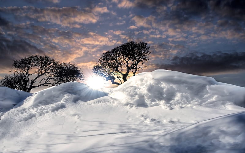 snow drifts r, sun beams, drifts, snow, r, trees, hill, HD wallpaper