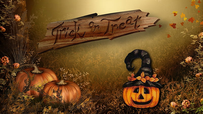 Trick or Treat Pumpkin Patch, Trick or Treat, Pumpkin, Halloween, Jack o Lantern, Pumpkin Patch, HD wallpaper