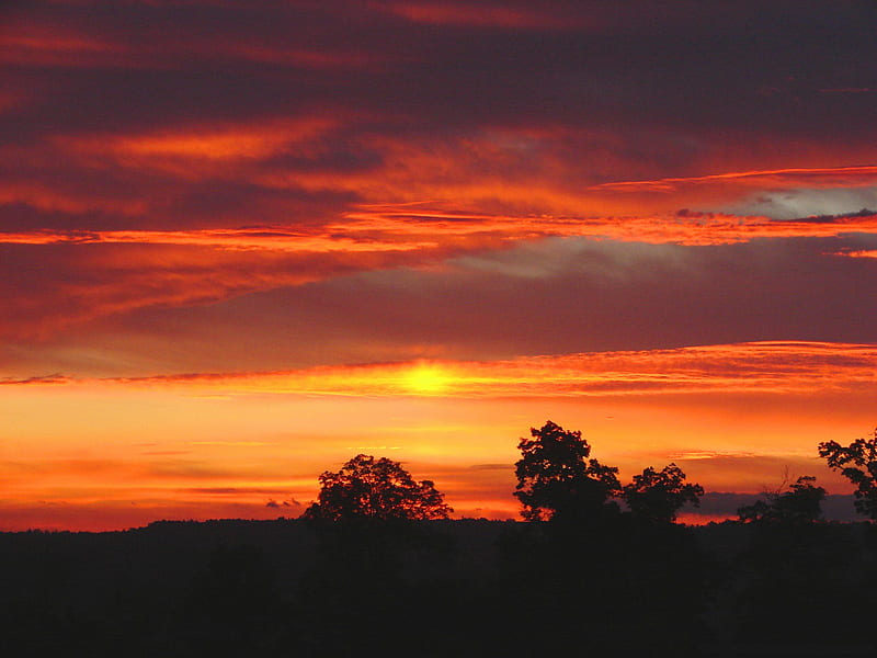 False-Sunrise-or-Dawn-Sun-Dog-from-Long-Ridge, sundog, trees, sky, clouds, false, panorama, graphy, nature, sunsetsm sunrise, HD wallpaper