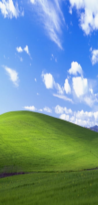 Windows XP - Azul [3840x2400] Upscaled with Topaz Gigapixel AI :  r/wallpapers