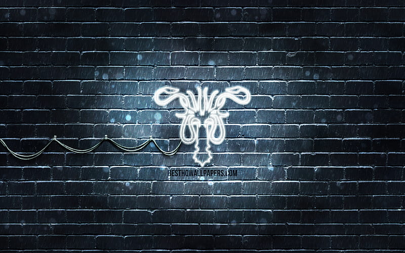 House Greyjoy emblem gray brickwall, Game Of Thrones, artwork, Game of Thrones Houses, House Greyjoy logo, House Greyjoy, neon icons, House Greyjoy sign, HD wallpaper