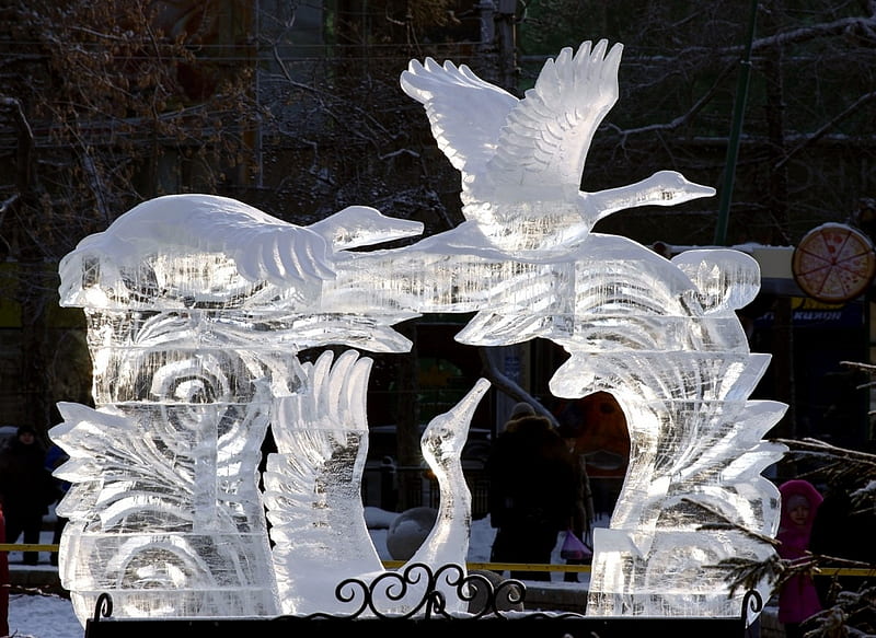 Three Birds At The Park, Sculpture, Ice Sculpture, graphy, Park, Ice, Wings, Three, Birds, HD wallpaper