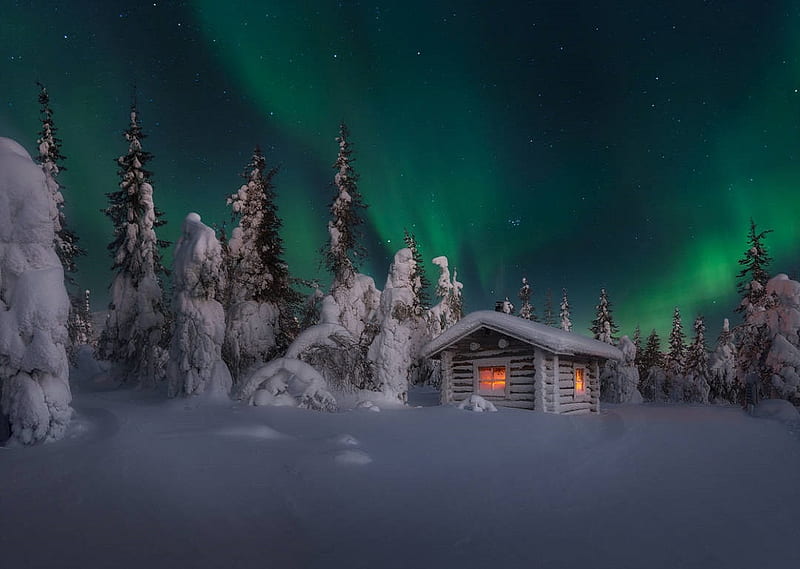Winter Forest, stars, lapland, northern lights, snow, cabin, sky, trees, winter, beauty, HD wallpaper