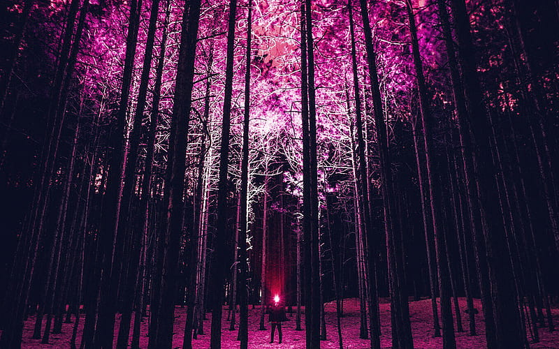 wood, mountain, nature, red, night, HD wallpaper