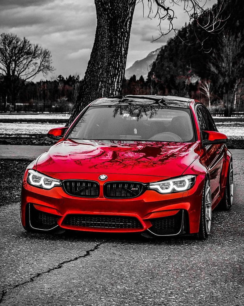 450 Red Car Pictures  Download Free Images on Unsplash