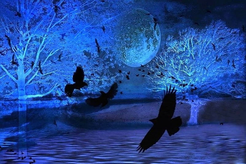 ★Blue Moon with Ravens★, moons, flying birds, lovely, colors, love four seasons, bonito, trees, ravens, gothic, nature, blue, HD wallpaper