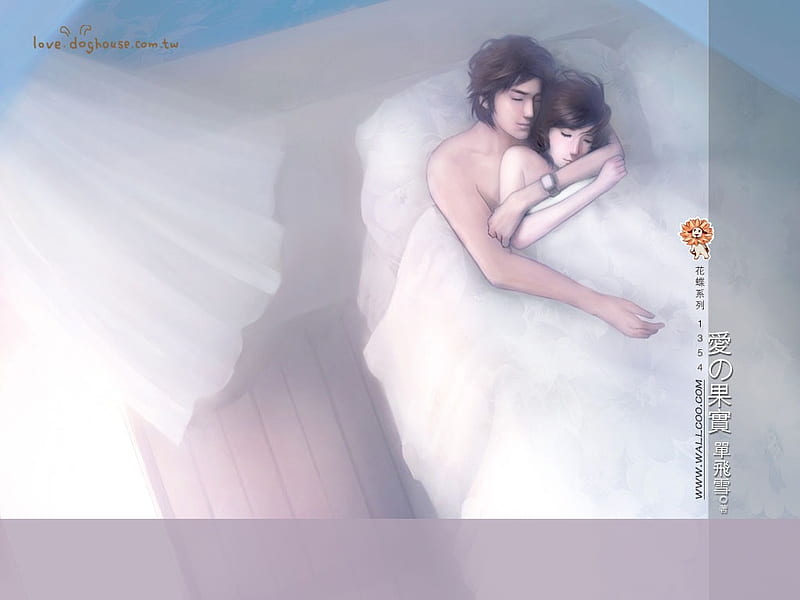 Romantic Couple - Beautiful Illustrations on Romance Novel Covers, HD wallpaper