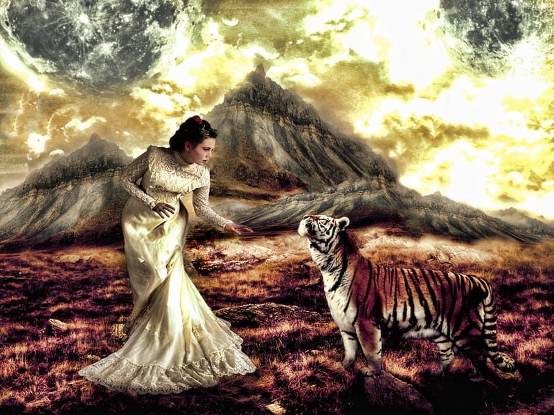 Tiger Kingdom, nature, tiger, woman, animal, HD wallpaper