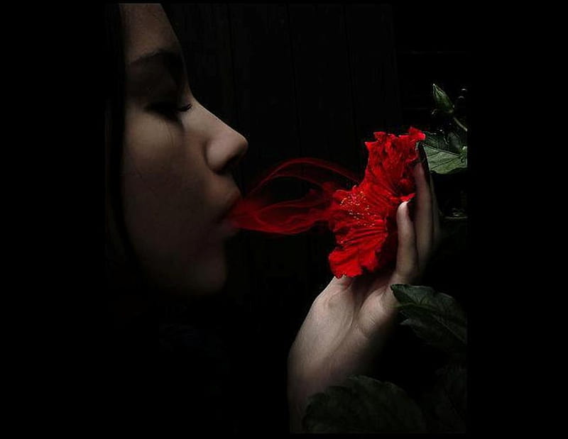 I know passion's taste, red mouth, background, woman green, profile hand, pic, black, wall, taste, dark, flower, passion, HD wallpaper