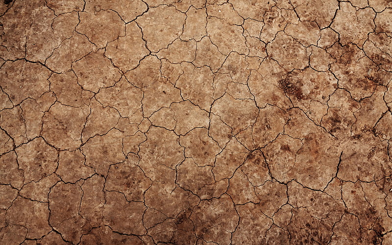 dried soil texture desert, macro, dried soil backgrounds, soil textures, soil pattern, soil, HD wallpaper