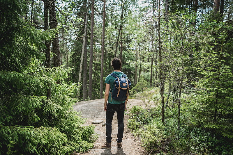 man wearing blue backpack walking through forest, HD wallpaper