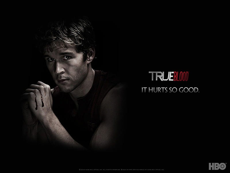True Blood - Jason, true blood, jason stackhouse, vampires, tv series, vampire, hbo, HD wallpaper
