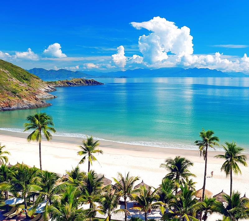 Beach , beach, palms, sea, summer, HD wallpaper
