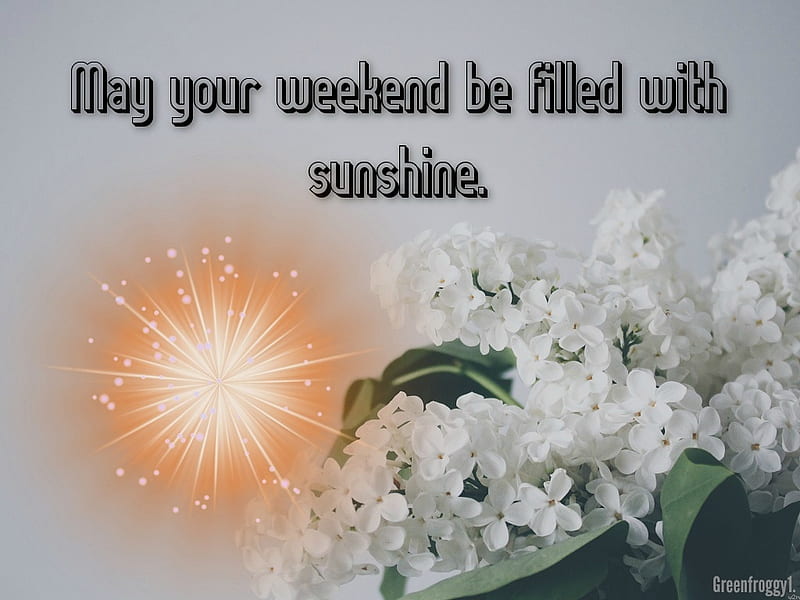 Free Download | WEEKEND FILLED WITH SUNSHINE, SUNSHINE, WEEKEND ...