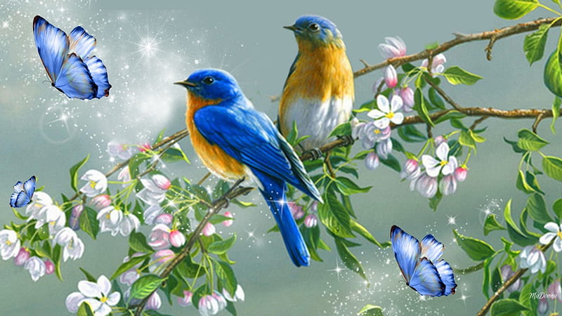 Blue Bird Spring Song, fresh, glitter, shine, blue bird, spring, butterflies, apple blossoms, sparkles, HD wallpaper