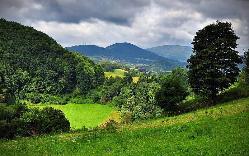 mountain landscape, green hills, Beskydy, Carpathians, Poland, forest, green grass, summer, HD wallpaper