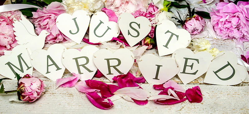 Just Married, with love, flowers, nature, petals, wedding, HD wallpaper