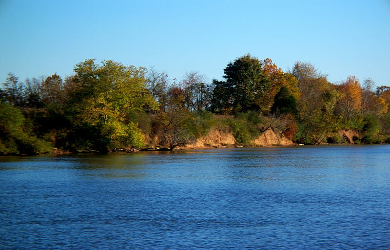 Cumberland River, water, cumberland, bank, river, trees, sky, blue, HD wallpaper