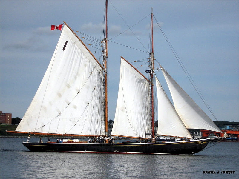 Bluenose II Schooner, danieltowsey, bluenose ii schooner, HD wallpaper