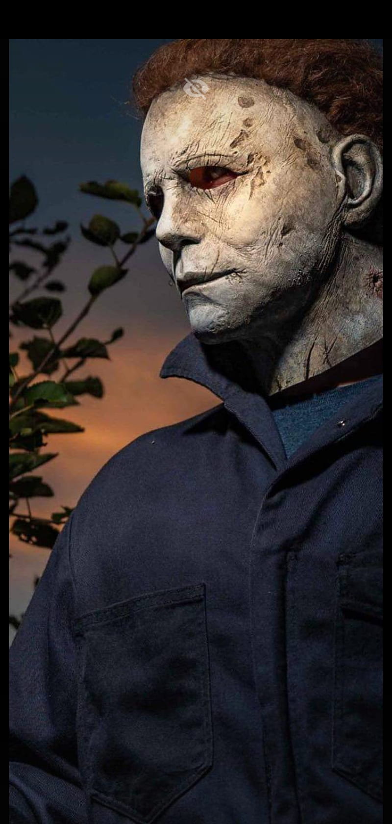 Michael Myers, gore, halloween, horror, mask, movie, terror, thirller, HD  phone wallpaper | Peakpx
