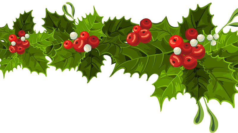 Merry Christmas!, mistletoe, red, craciun, green, christmas, berry, card, HD wallpaper