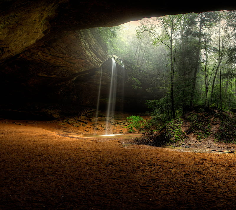 Cove, cave, forest, rock, stone, tree, HD wallpaper
