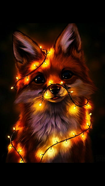 Fox cute, night, HD phone wallpaper | Peakpx