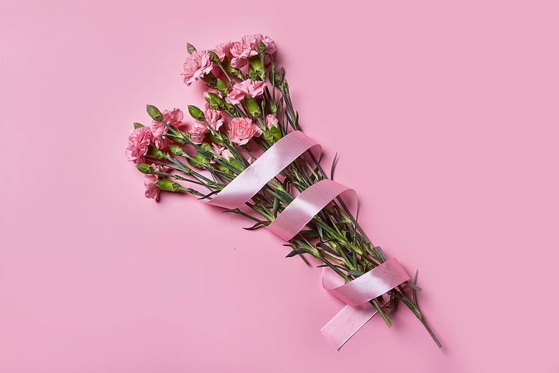 carnations, flowers, bouquet, ribbon, pink, HD wallpaper