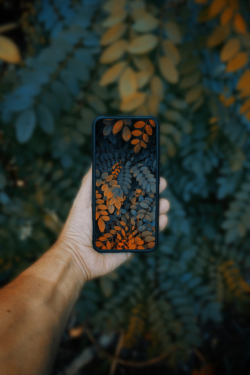 phone, smartphone, hand, leaves, HD phone wallpaper