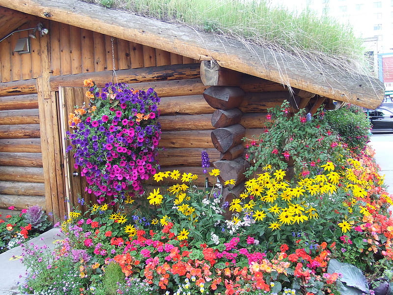 Log Cabin, building, garden, flowers, HD wallpaper