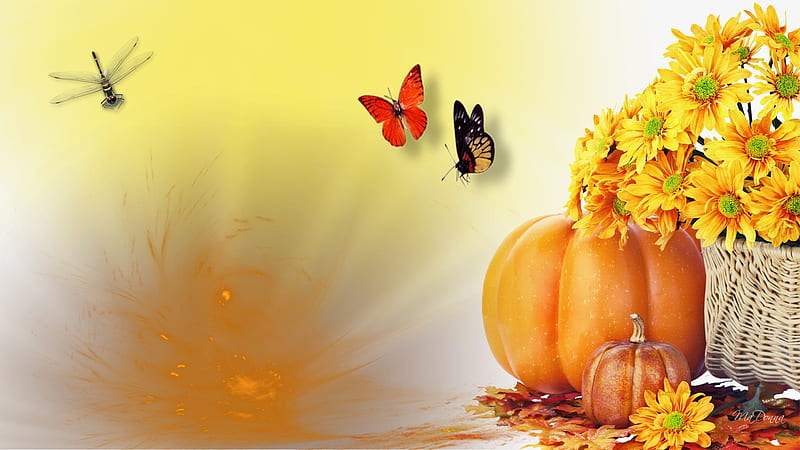 Harvest Festival, fall, autumn, harvest, yellow, firefox persona, butterflies, gold, pumpkin, dragonfly, flowers, HD wallpaper