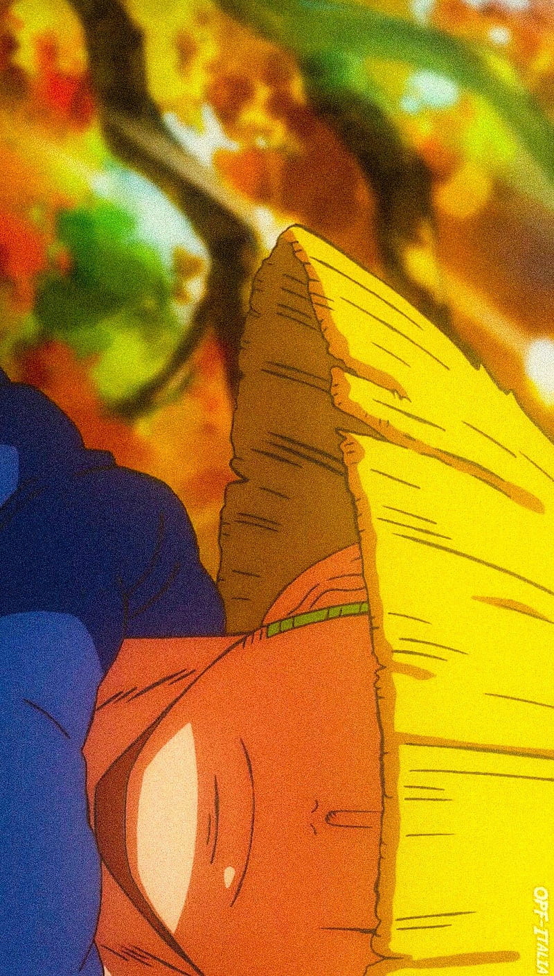 One Piece Zoro, anime, one piece, roronoa zoro, wano, wano anime, HD phone wallpaper