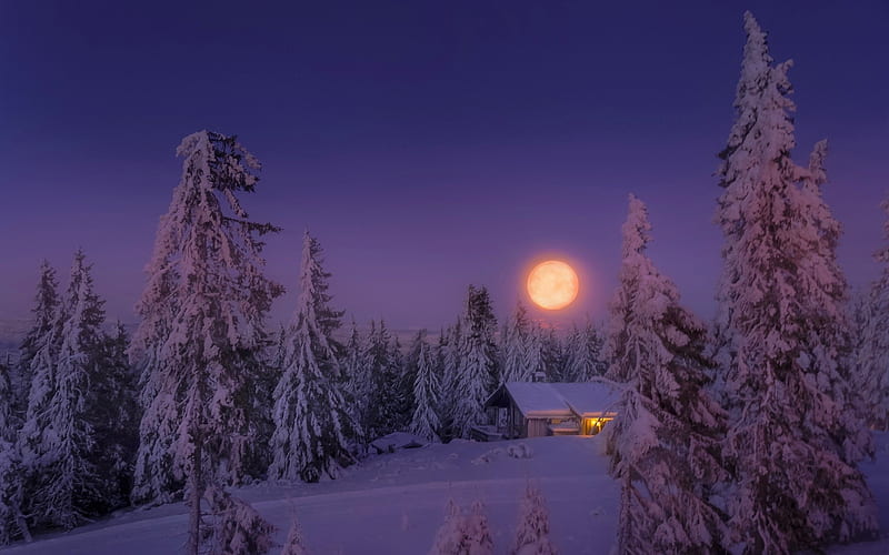 1080P free download | Full Moon over Winter Landscape, Moons ...