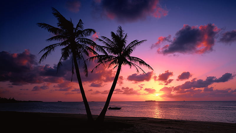 Beautiful sunset on the ocean with pink, red, and or