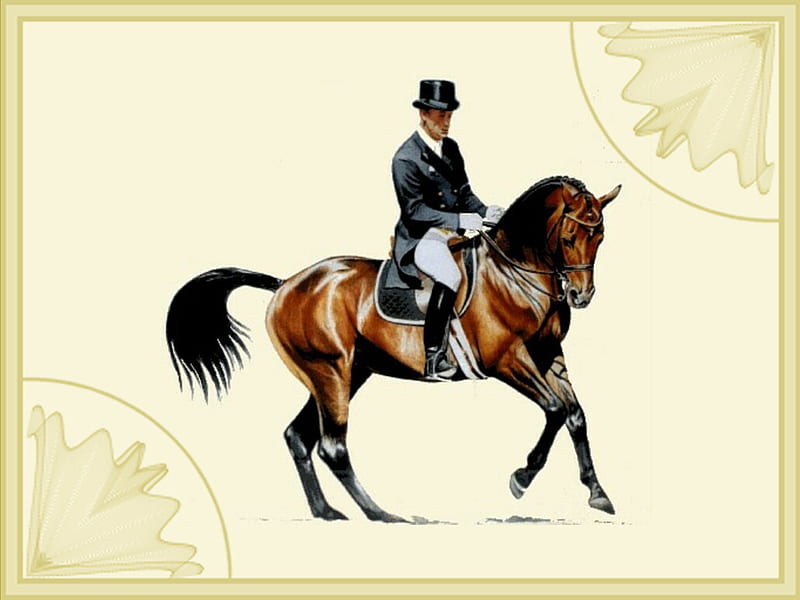 Dressage Horse and Rider F5, art, canter, griffin-scott, equine, dressage, horse, equestrian, pirouette, sport, rider, janet griffin, janet griffin-scott, painting, HD wallpaper