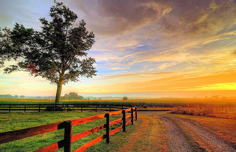 Sunset After The Storm, fence, grass, bonito, sunset, trees, sky, clouds, road, field, HD wallpaper